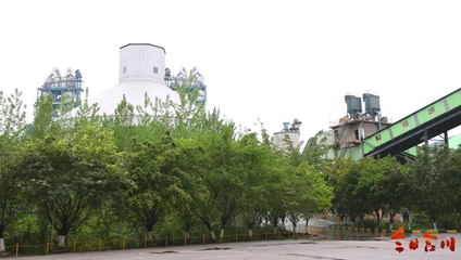 建设环保两不误！台泥（重庆）水泥何以成为国家级绿色工厂？
